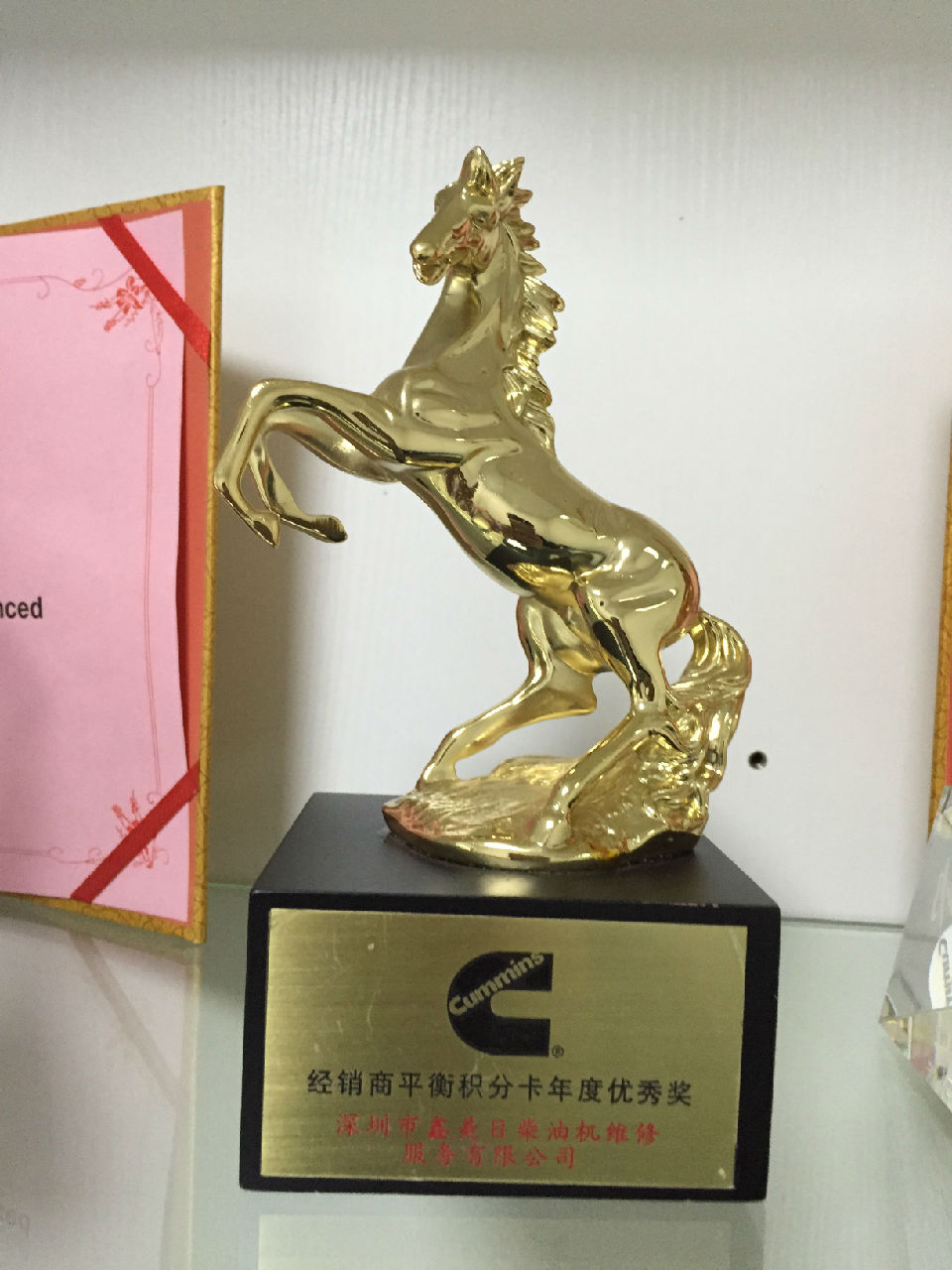 2017年經(jīng)銷商平衡積分卡優(yōu)秀獎_c